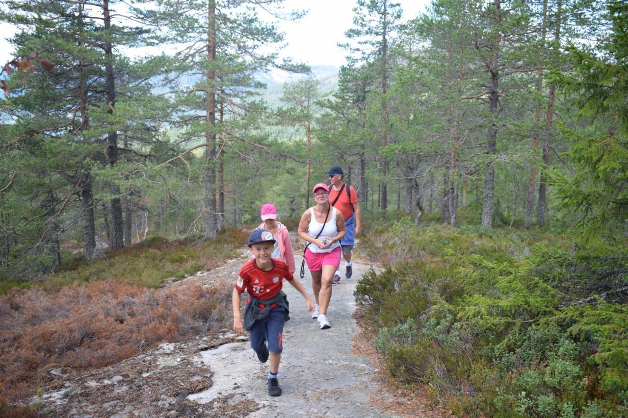 Ferienhaus Fjellblikken Sinnes Dış mekan fotoğraf